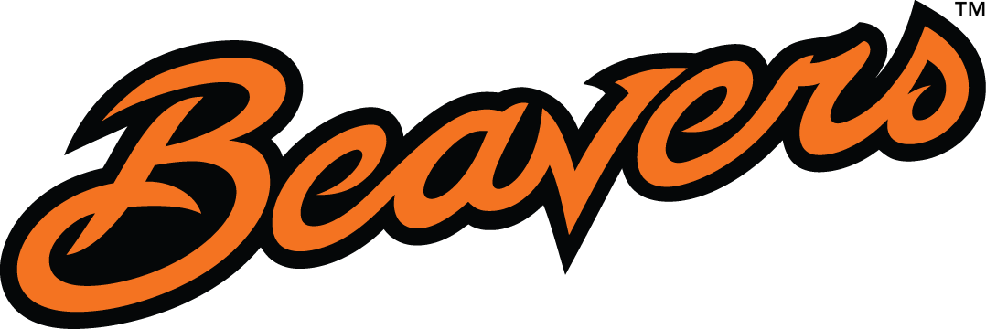 Oregon State Beavers 2013-Pres Wordmark Logo diy DTF decal sticker